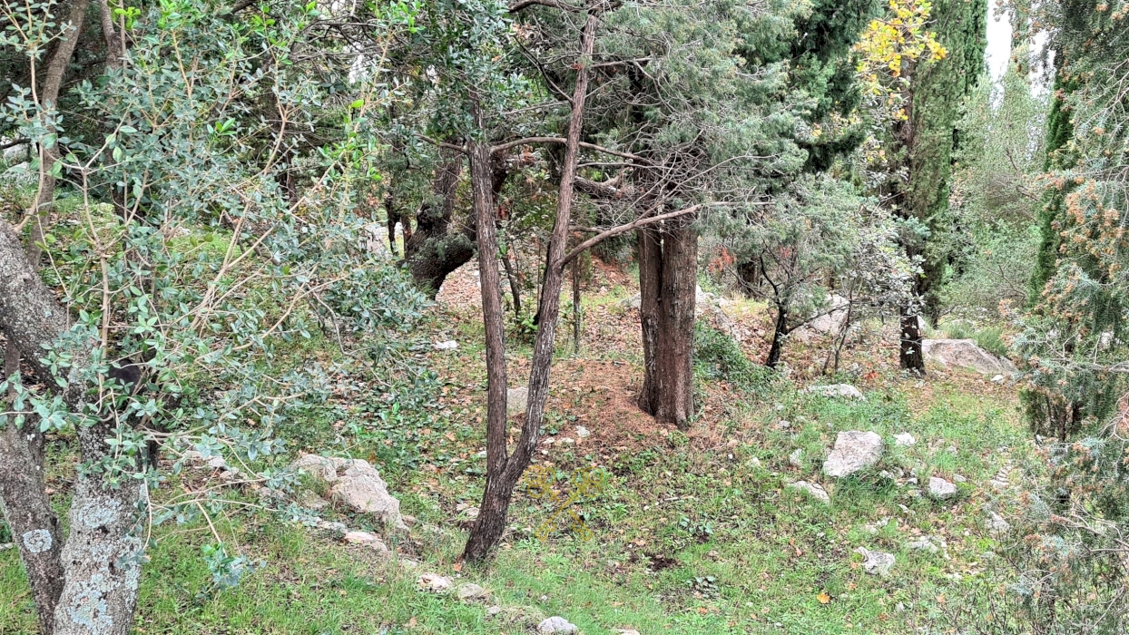 Nekretnine Hrvatska