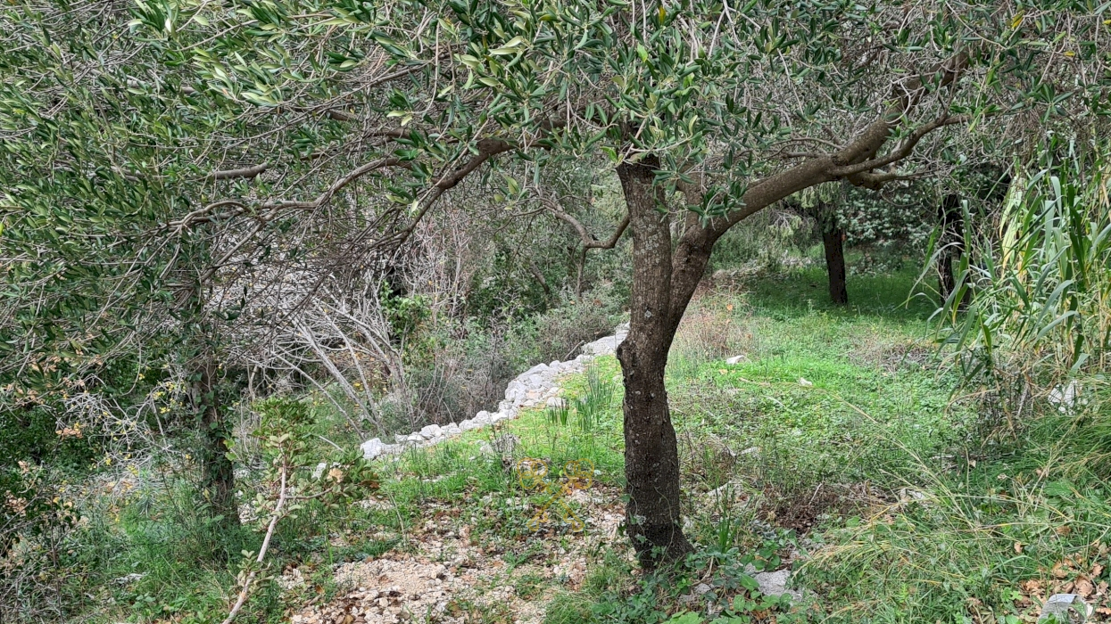 Nekretnine Hrvatska